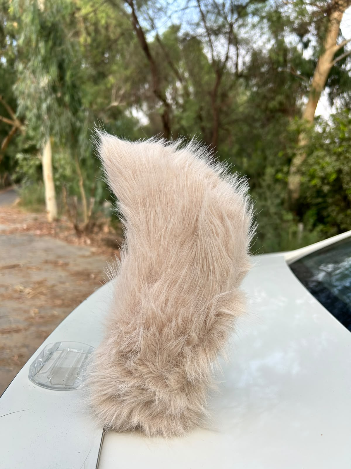 Electric Wagging Tail for Car and Bike - Interactive Motion