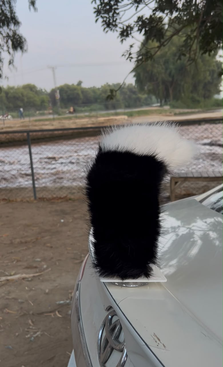 Electric Wagging Tail for Car and Bike - Interactive Motion